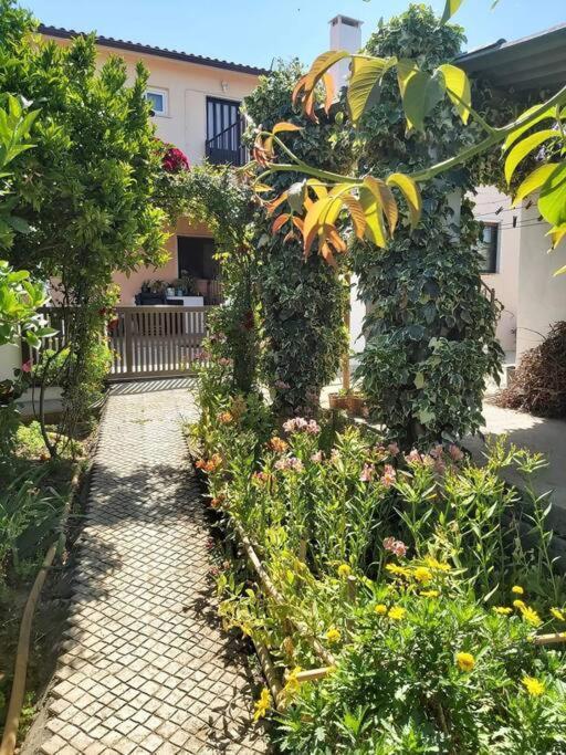 Casa Alegria - The Orangery Leilighet Tomar Eksteriør bilde